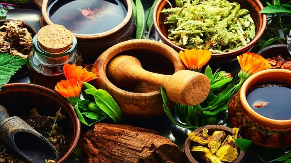 Integrated Ayurvedic interventions in PCOS: role of Panchakarma, Rasayana therapy and lifestyle modulation